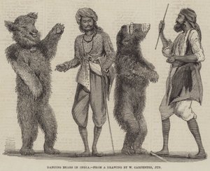 Dansende beren in India door William Carpenter